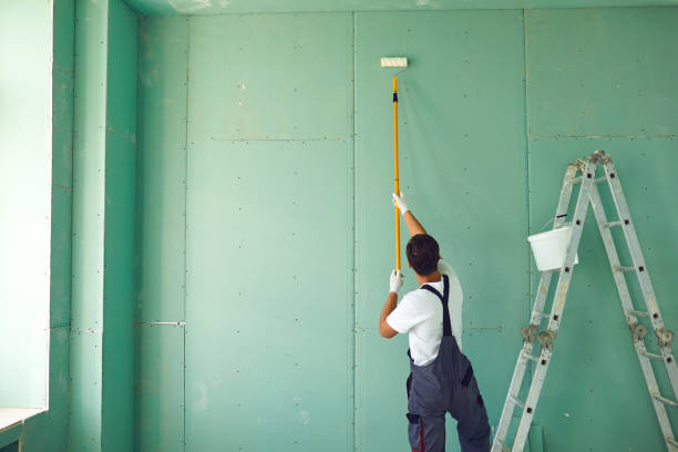 Best Ceiling Drywall Installation  in Cascade, IA