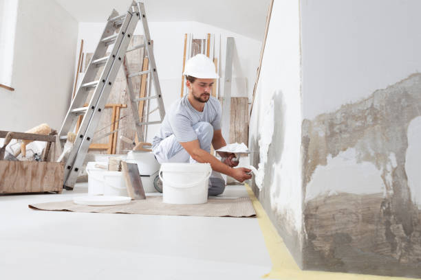 Best Drywall Crack Repair  in Cascade, IA