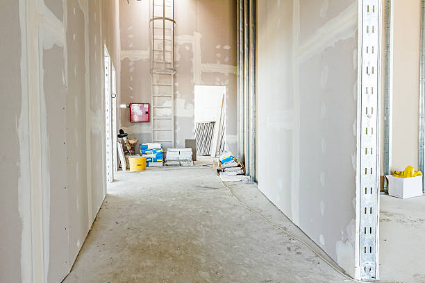 Best Drywall Texturing  in Cascade, IA